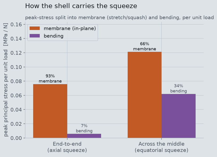 Bar chart: end-to-end squeeze is 93 percent membrane and 7 percent bending; equatorial squeeze is 66 percent membrane and 34 percent bending