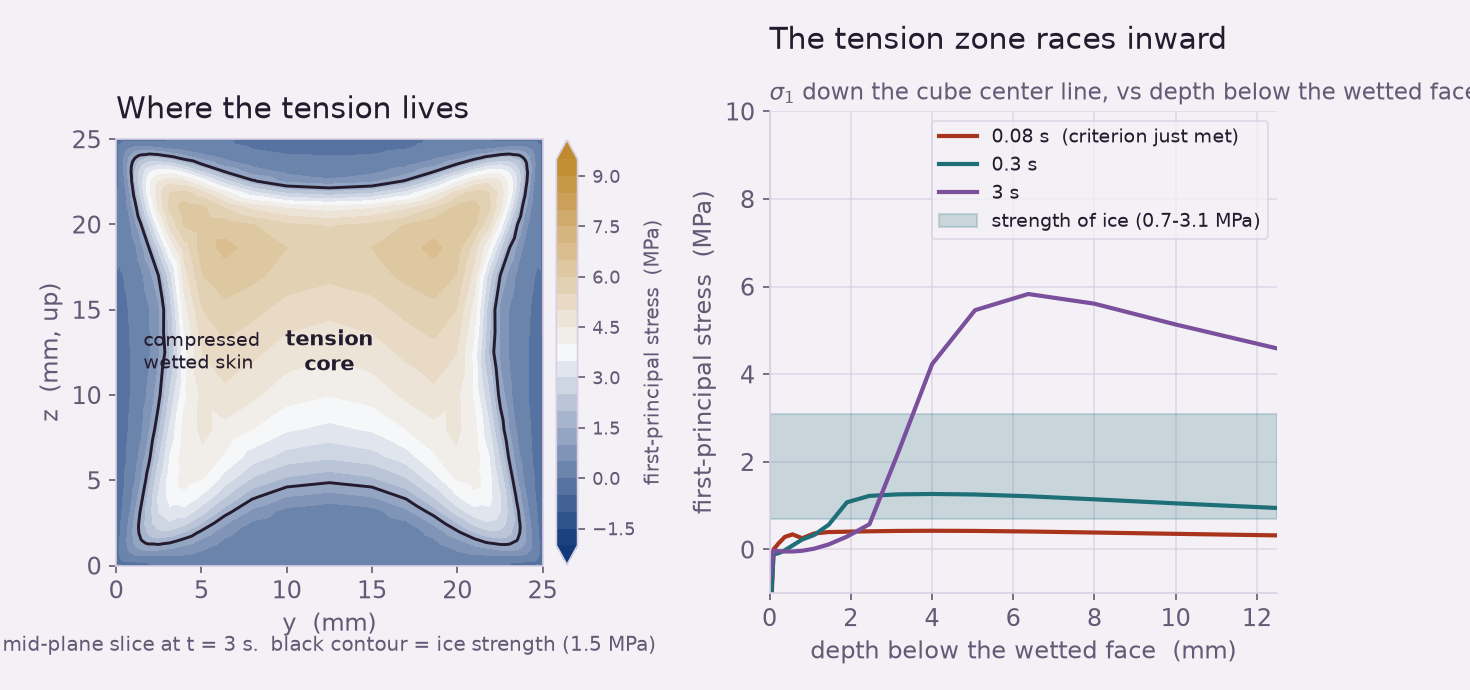 Left: a mid-plane slice of the cube colored by first-principal stress, showing a blue compressed skin around an amber tension core with the ice-strength contour drawn. Right: first-principal stress down the center line versus depth at three times, the tension zone moving inward and rising above the strength band.
