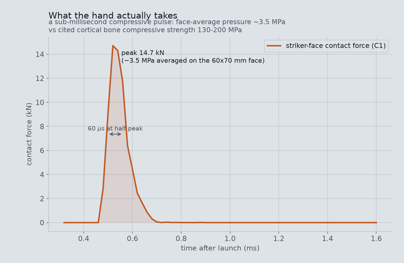 Striker-face contact force over time, a short compressive pulse, with cited bone strength for context.