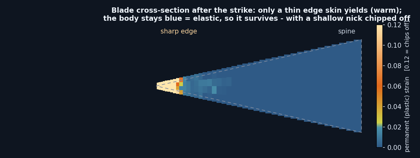 Cross-section of the blade after impact, coloured by permanent plastic strain: a thin warm skin at the edge, a shallow chipped nick, and a blue elastic body