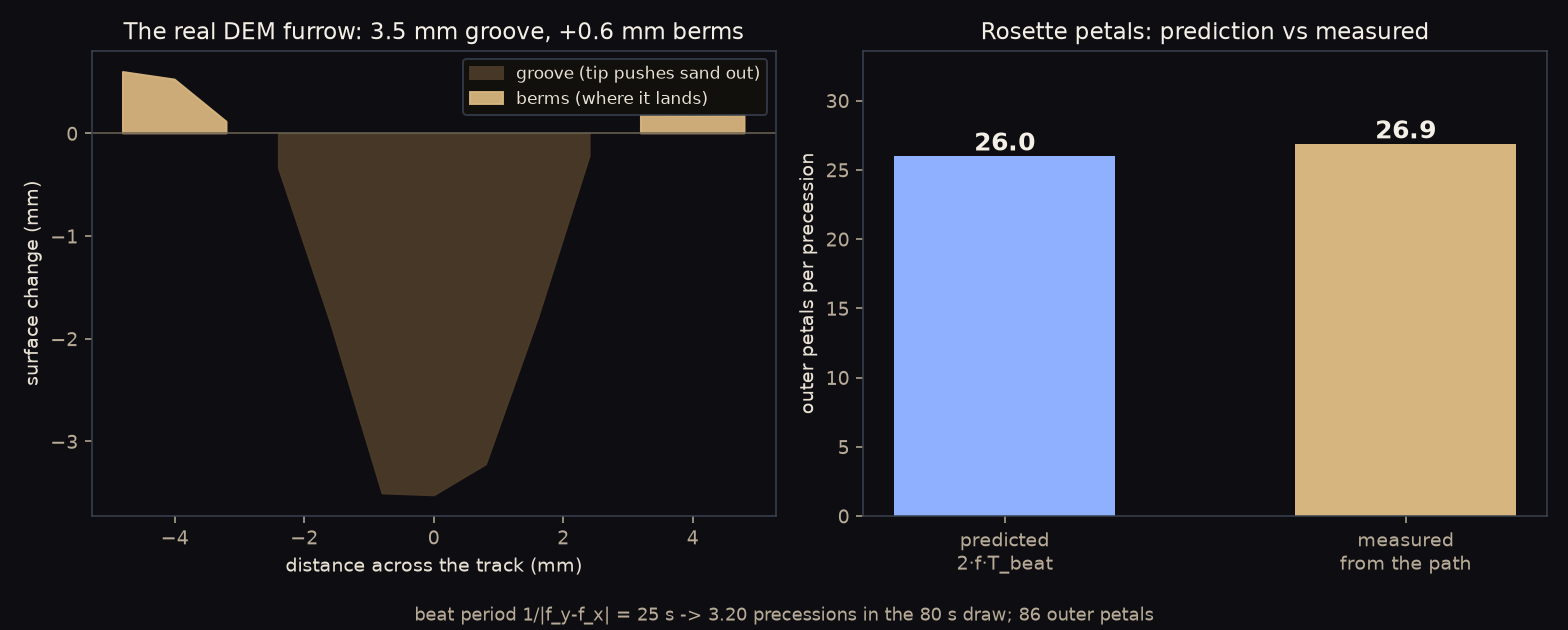 Left: the DEM furrow cross-section, a V-groove with raised berms. Right: measured versus predicted rosette petals per precession.