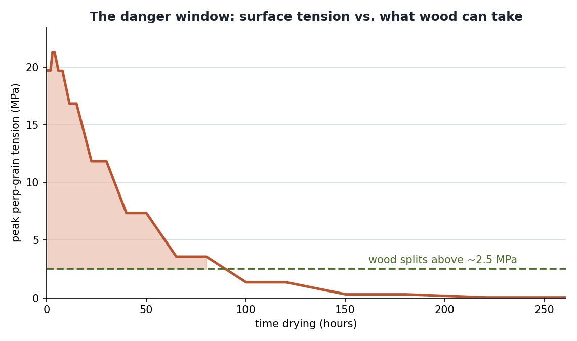 Peak surface cross-grain tension versus drying time, rising above the ~2.5 MPa strength line for the first days then decaying