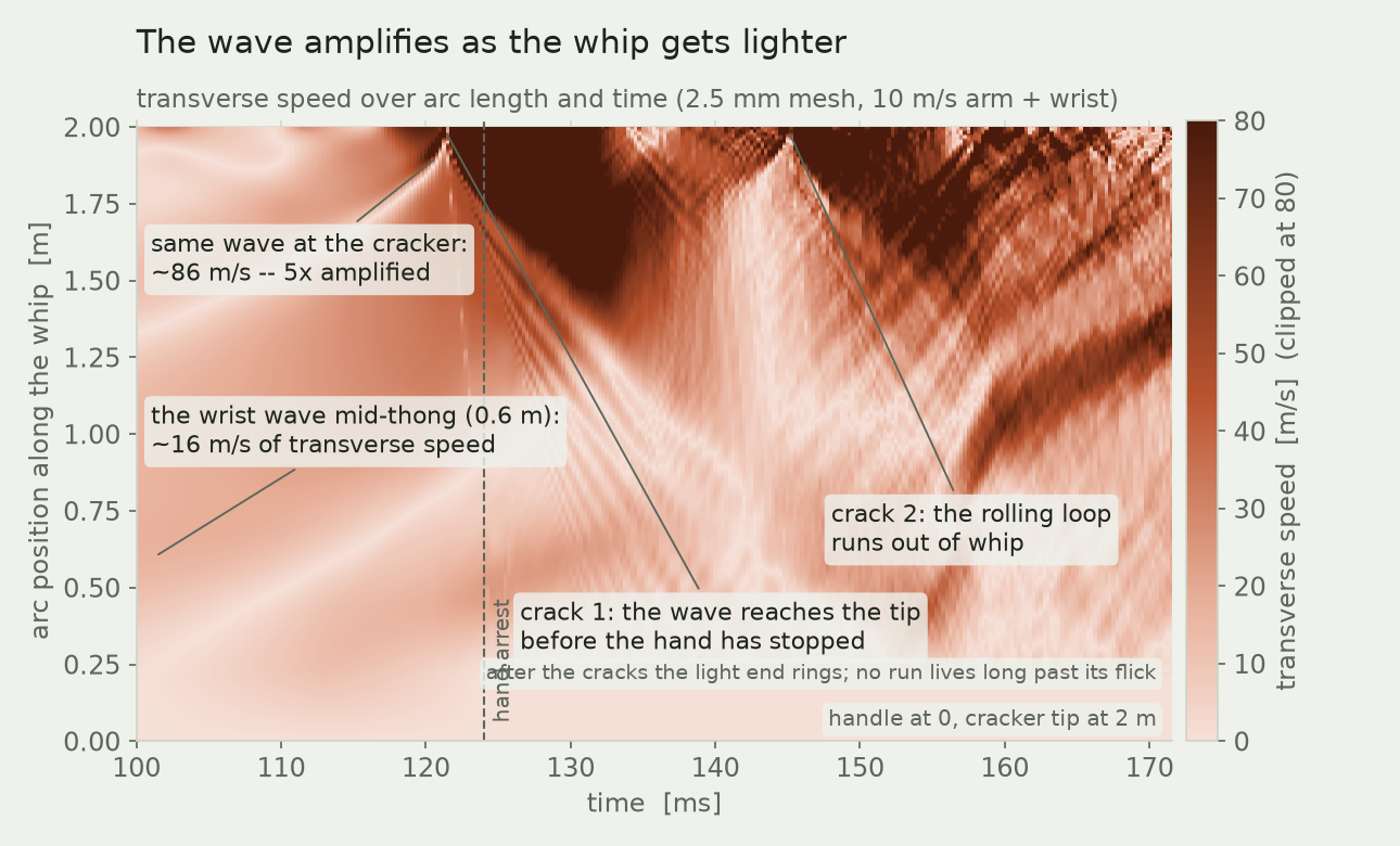 Space-time map of transverse speed along the whip, showing the wrist wave amplifying as it approaches the tip and both cracks